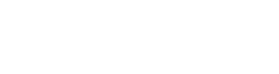 University of Arkansas Fulbright College of Arts and Sciences — partner institution