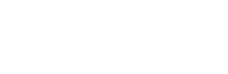 Michigan State University — partner institution